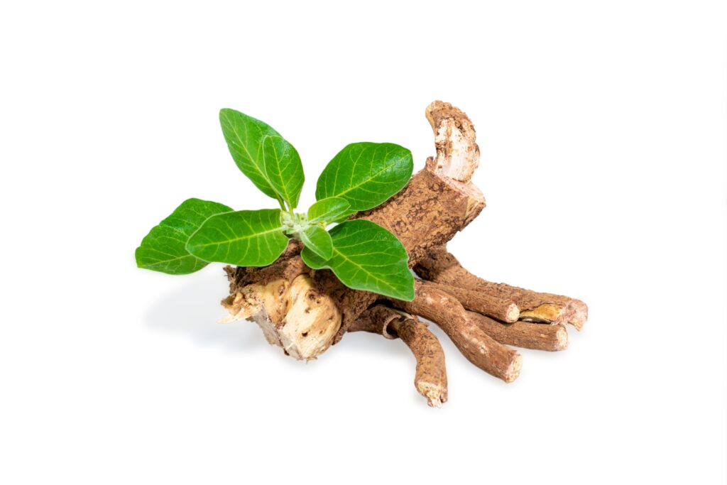 Ashwagandha: Best Supplements For Crossfit Athletes